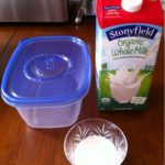Homemade Yogurt Ingredients